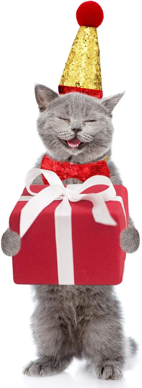 Gejoy - Juego de 12 juguetes de Navidad para gatos, incluye bolsa de cordón de Navidad, collar de gato, bola arrugada, caramelo, juguete giratorio rojo, árbol de Navidad de felpa, caña de gato