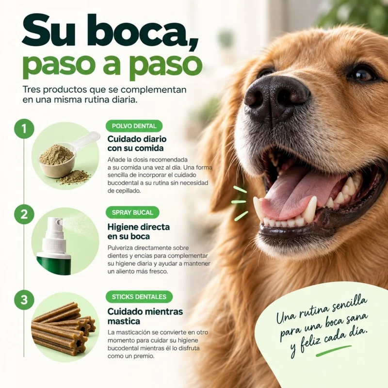 Pack Disane DentalCare 360º | Polvo + Spray + Sticks Dentales.