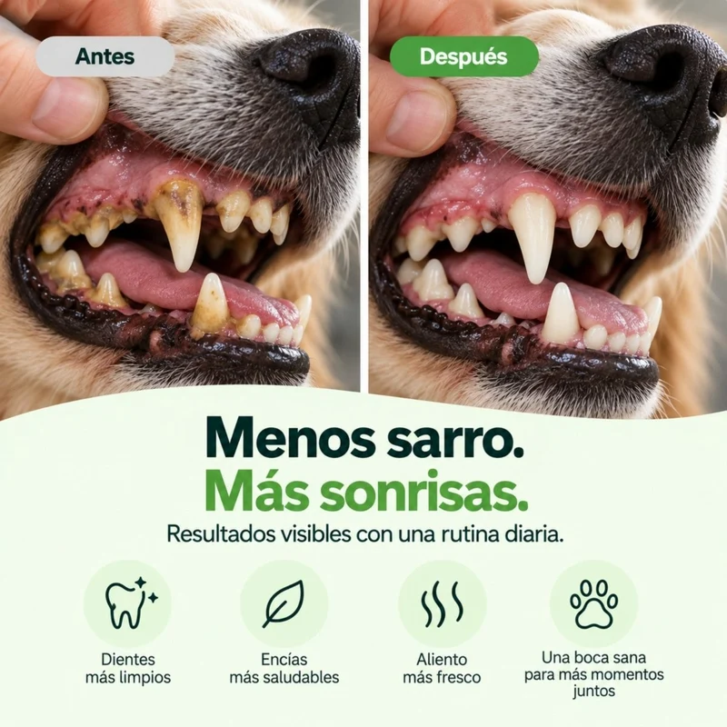 Pack Disane DentalCare 360º | Polvo + Spray + Sticks Dentales.