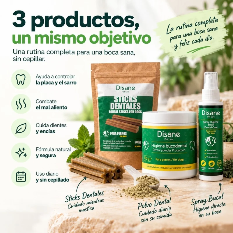 Pack Disane DentalCare 360º | Polvo + Spray + Sticks Dentales.