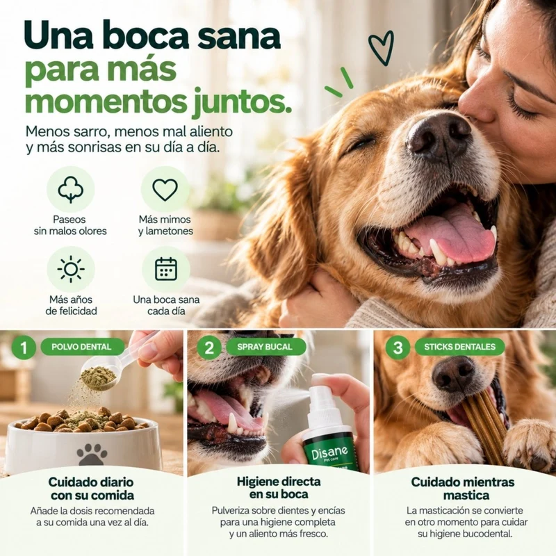 Pack Disane DentalCare 360º | Polvo + Spray + Sticks Dentales.