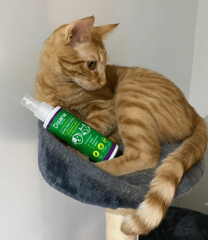 Spray anti estrés natural para perros y gatos