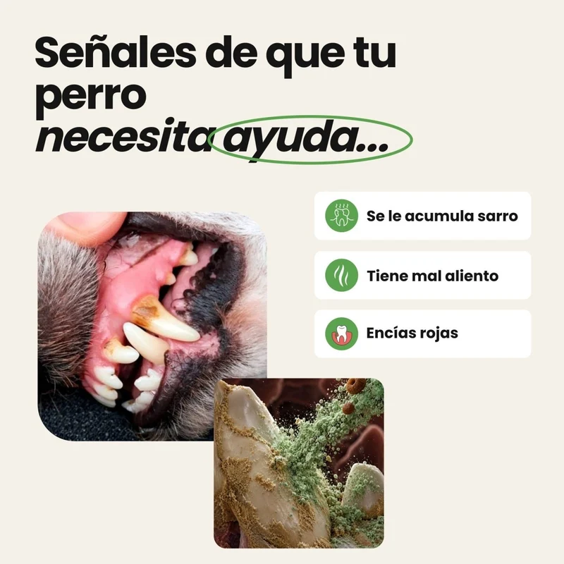 Higiene bucodental para perros | Suscríbete y ahorra