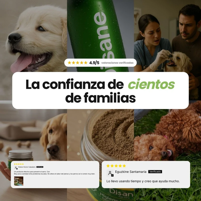 Higiene bucodental para perros | Suscríbete y ahorra