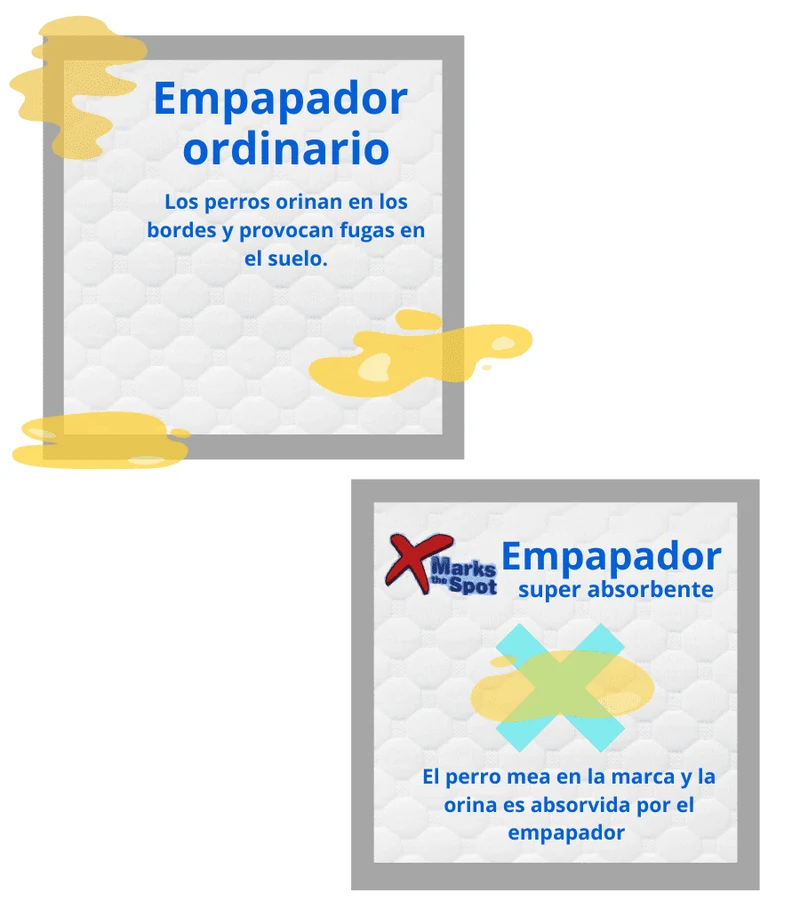 Empapadores súper absorbentes para perros