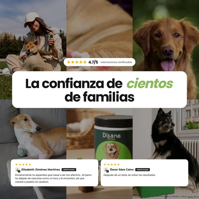 Antipicores y Pieles Sensibles para Perros - Suplemento Antipicores de 60 Unidades | Disane Pet Care