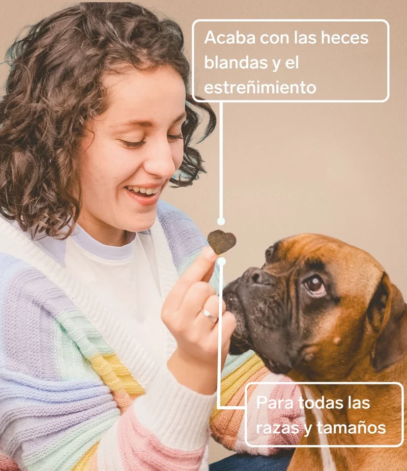 Huesos y Articulaciones para Perros - Suplemento Natural de 60 Unidades | Disane Pet Care