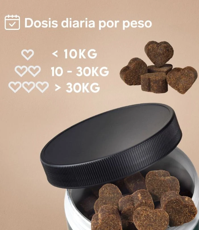 Huesos y Articulaciones para Perros - Suplemento Natural de 60 Unidades | Disane Pet Care