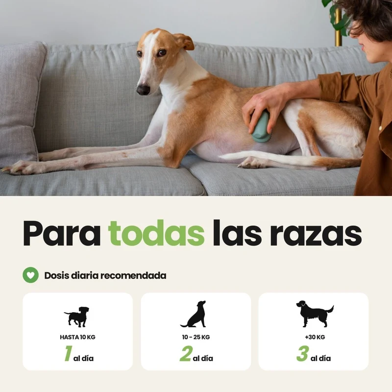 Probióticos para Perros - Suplemento Natural de 60 Unidades | Disane Pet Care