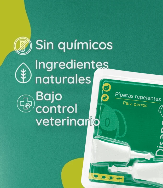 Pack Anti Pulgas