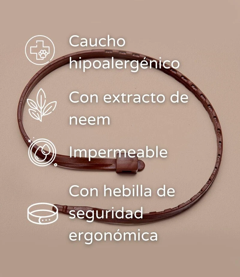 Cuidado y protección