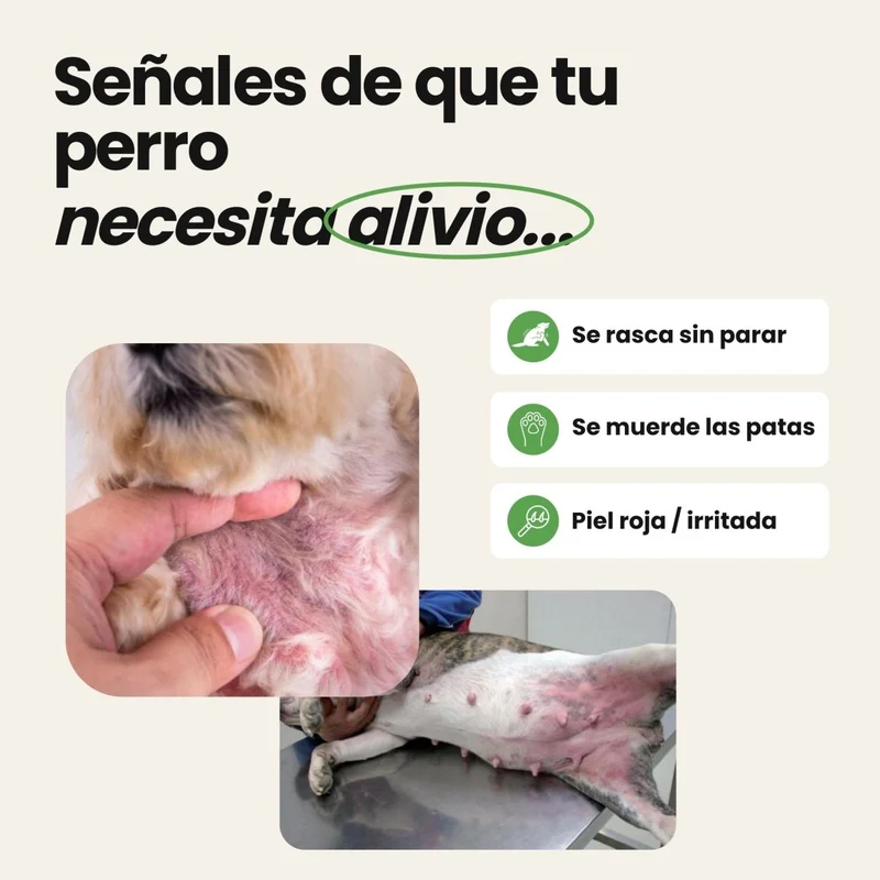 Disane FreshSkin | Alivio inmediato del picor y la irritación de tu perro