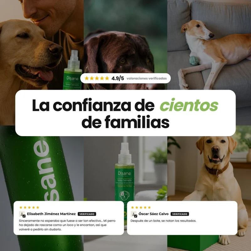 Disane FreshSkin | Alivio inmediato del picor y la irritación de tu perro