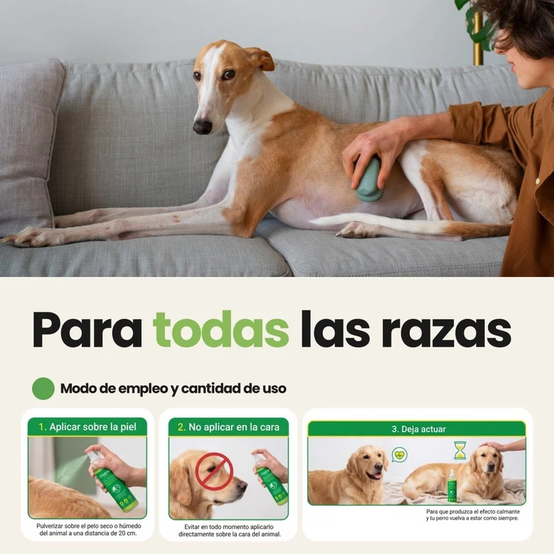 Disane FreshSkin | Alivio inmediato del picor y la irritación de tu perro