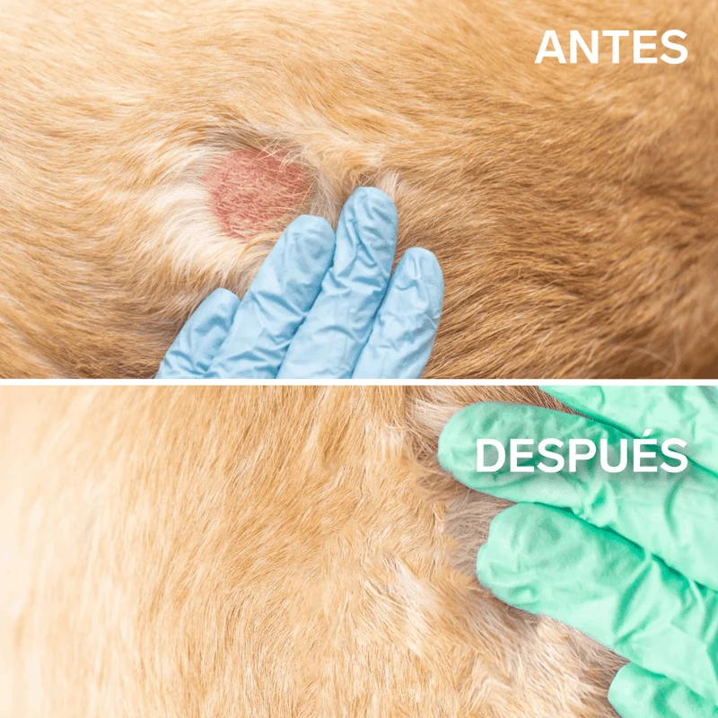 Disane FreshSkin | Alivio inmediato del picor y la irritación de tu perro