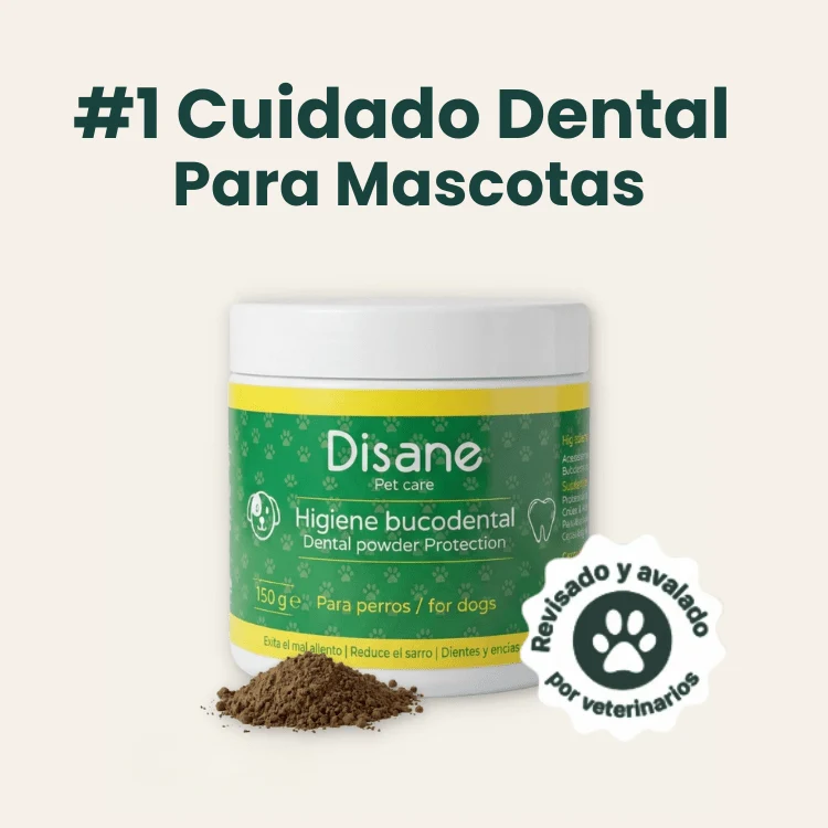 Disane DentalCare | Elimina el sarro y cuida los dientes de tu perro