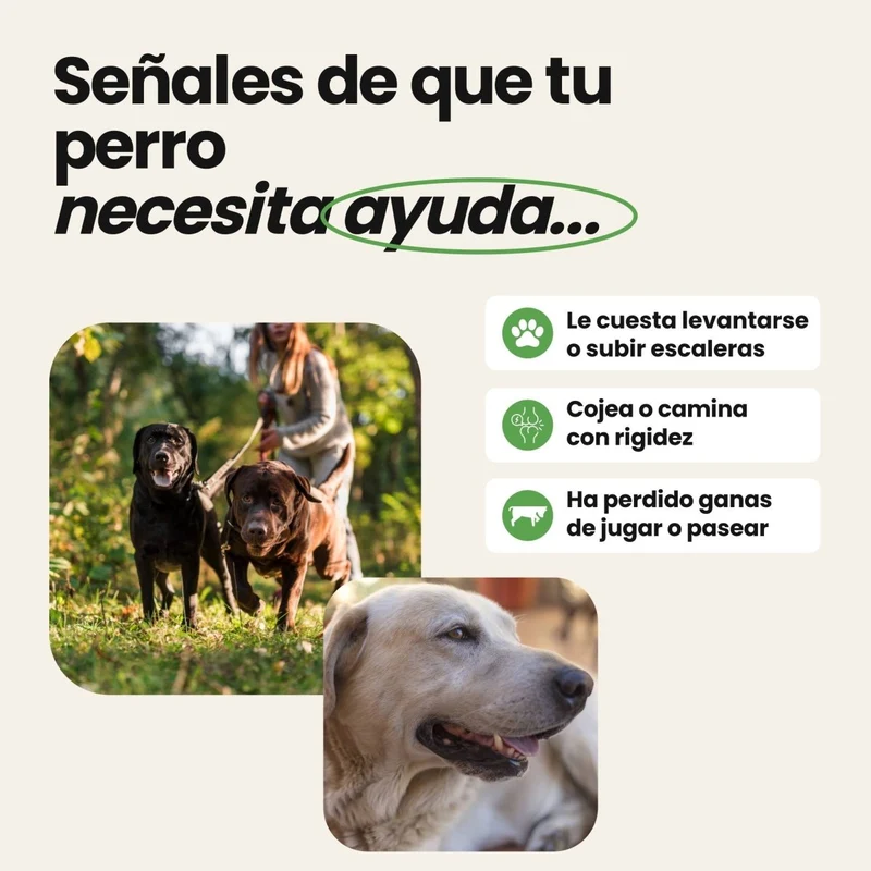 Condroprotector para perros 100% natural
