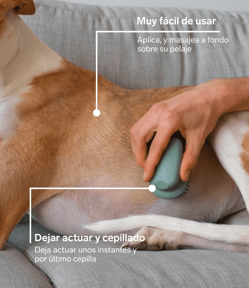 Champu en seco para perros - Espuma 100% Natural