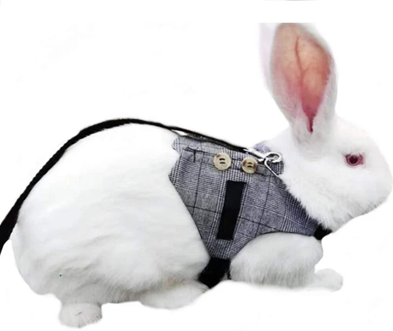 Juego de arnés y correa de chaleco de conejo vintage con botón decorativo, para mascotas pequeñas, ajustable, estilo formal, a cuadros, para conejos, gatitos, pequeños animales, caminar, correr