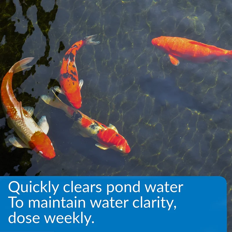API POND ACCU-CLEAR - Clarificador de agua para estanque (1 galón)