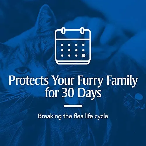 PETARMOR Plus Flea & Tick Prevention for Cats with Fipronil, Waterproof, Long-Lasting & Fast-Acting Topical Cat Flea Treatment