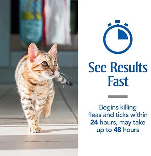 PETARMOR Plus Flea & Tick Prevention for Cats with Fipronil, Waterproof, Long-Lasting & Fast-Acting Topical Cat Flea Treatment
