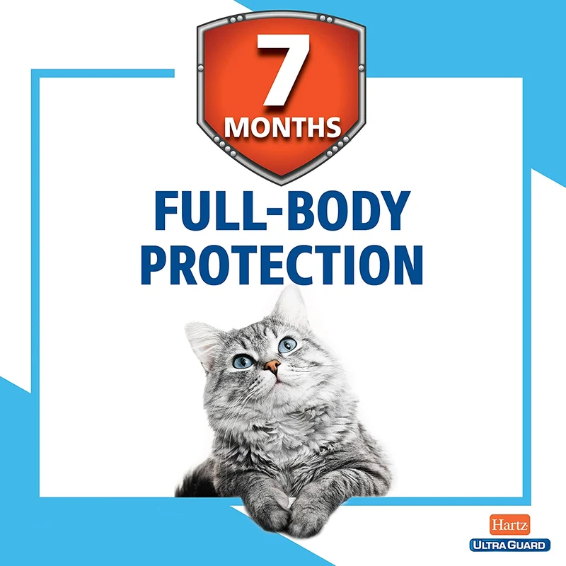 Hartz UltraGuard Pro - Collar reflectante para gatos y gatitos