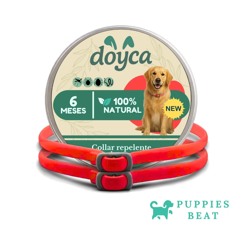 PACK 2 UD - Collar Antiparásitos Natural