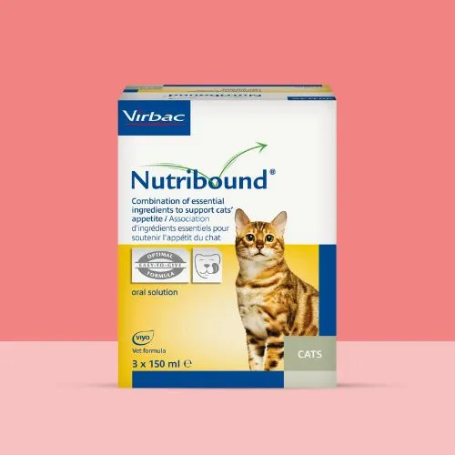 NUTRIBOUND GATOS 3 X 150 ML