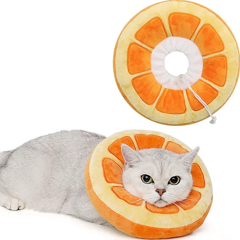 Collerette Récupération Chat Douce Anti-Léchage