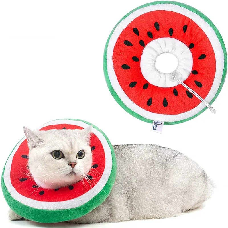 Collerette Récupération Chat Douce Anti-Léchage