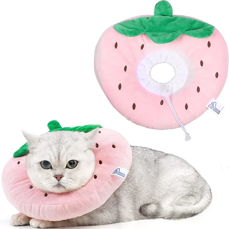 Collerette Récupération Chat Douce Anti-Léchage