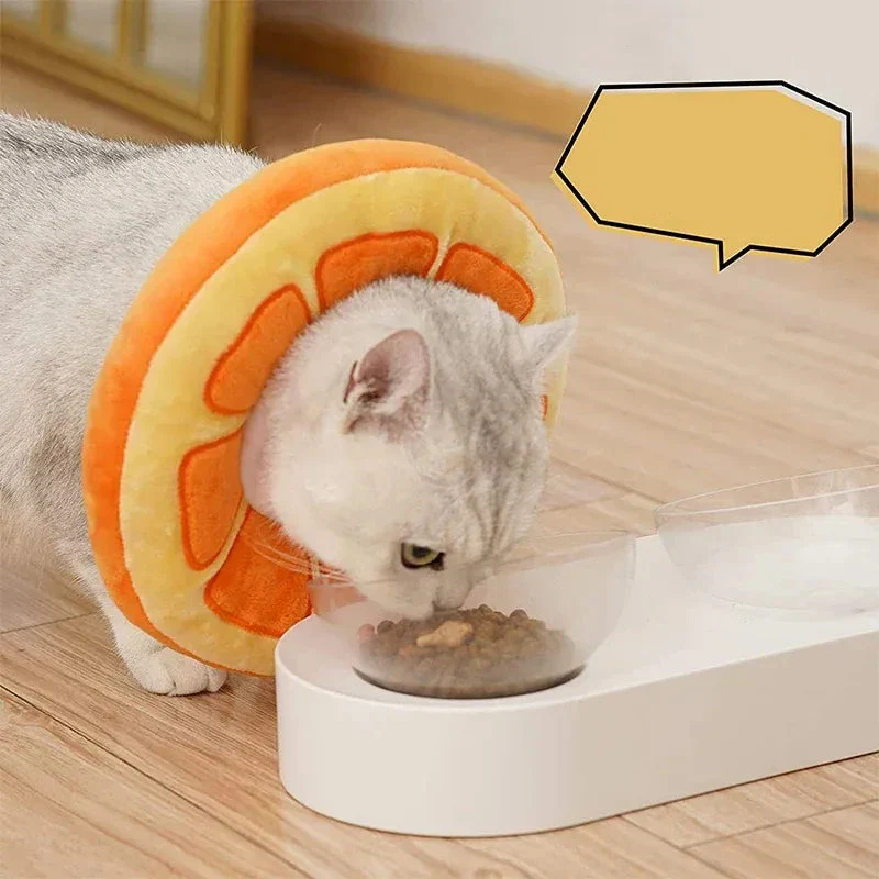 Collerette Récupération Chat Douce Anti-Léchage