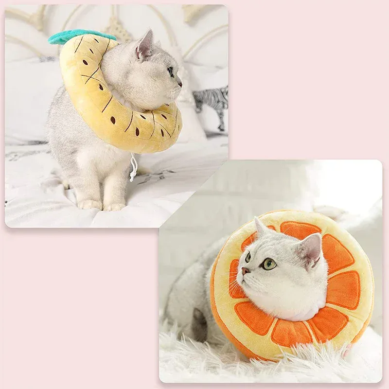 Collerette Récupération Chat Douce Anti-Léchage