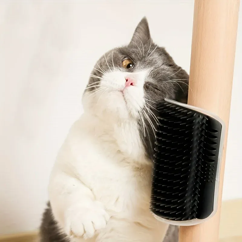 Brosse Auto-Toilettage Murale pour Chat avec Picots de Massage