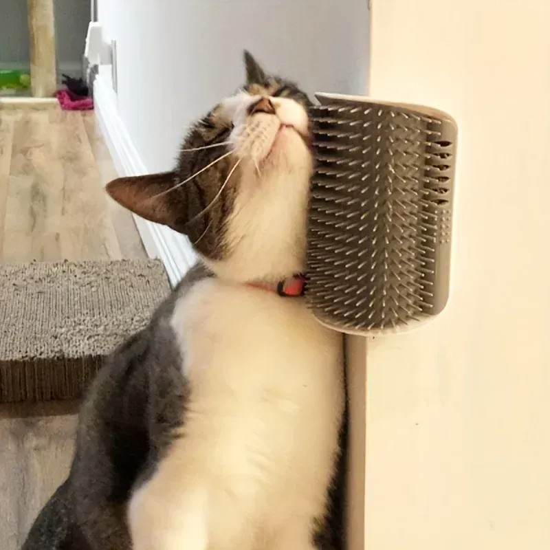 Brosse Auto-Toilettage Murale pour Chat avec Picots de Massage