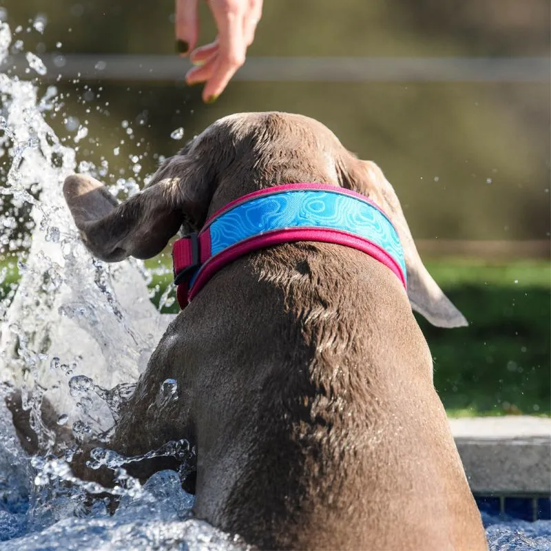 PACK COLLAR Y RAMAL REFRESCANTE COOL PRO TECH FUCSIA FREEDOG
