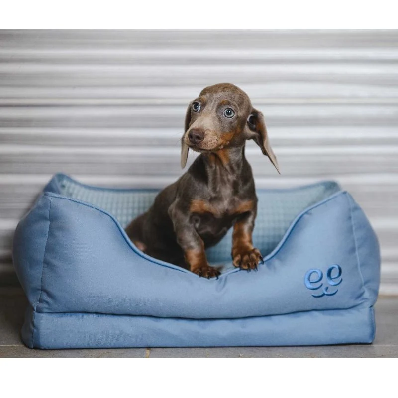 CAMA GLACIAL FREEDOG PERROS AZUL