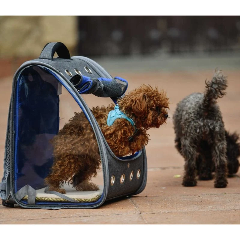 FREEDOG MOCHILA BETA GRIS 35 X 30 X 42 CM