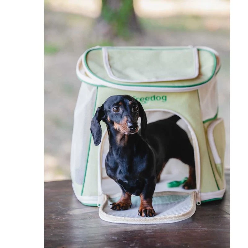 FREEDOG MOCHILA BLOOMING VERDE 40 X 39 X 27 CM