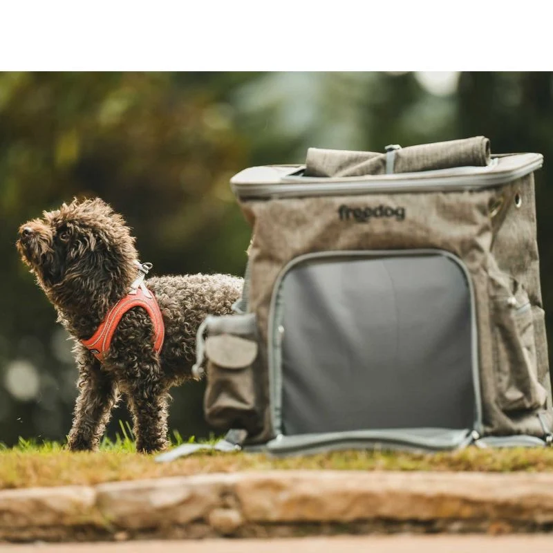 FREEDOG MOCHILA ETNA MARRON 31 X 40 X 43 CM