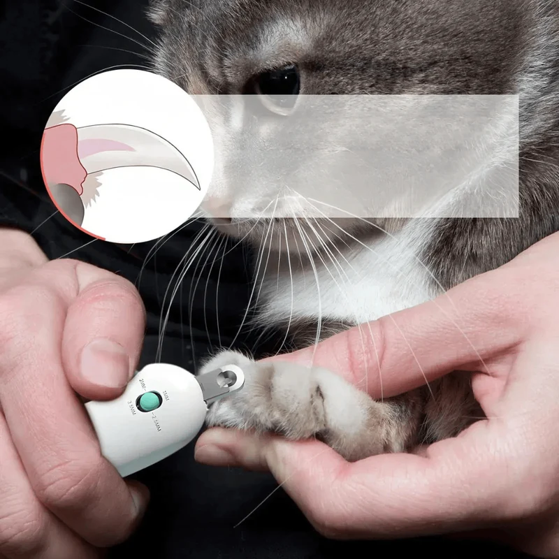 Coupe-Griffes Réglable pour Chien et Chat avec Lime
