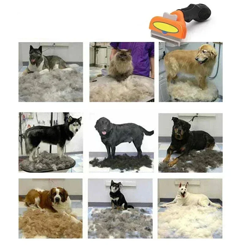 Brosse Toilettage pour Chien et Chat avec Bouton Nettoyage