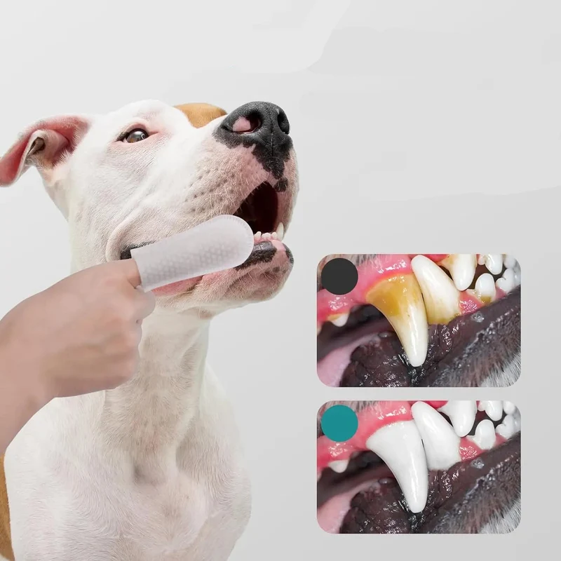 Lingettes Dentaires pour Chien et Chat à Doigt