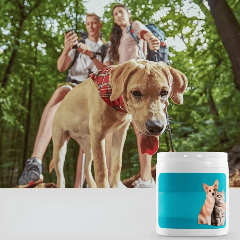 Lingettes Dentaires pour Chien et Chat à Doigt