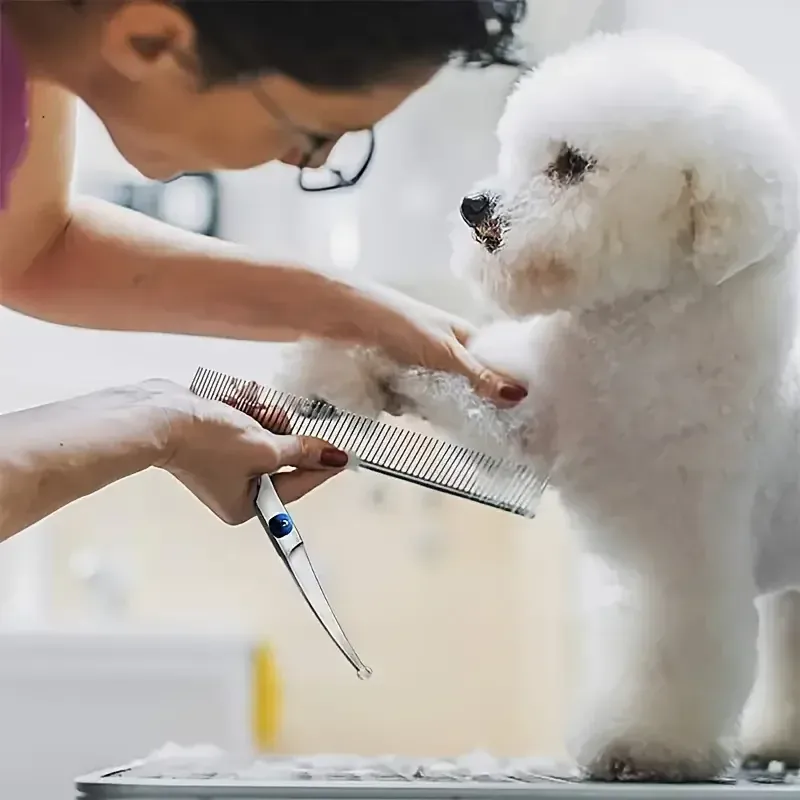 Kit Ciseaux Toilettage Chien Professionnel Inox Embout Sécurité