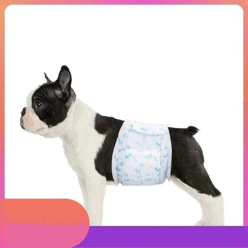 Couches Jetables pour Chien Ultra Absorbantes Lot de 10