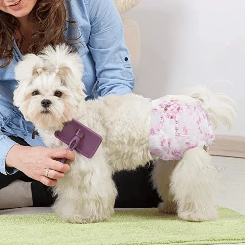 Couches Jetables pour Chien Ultra Absorbantes Lot de 10