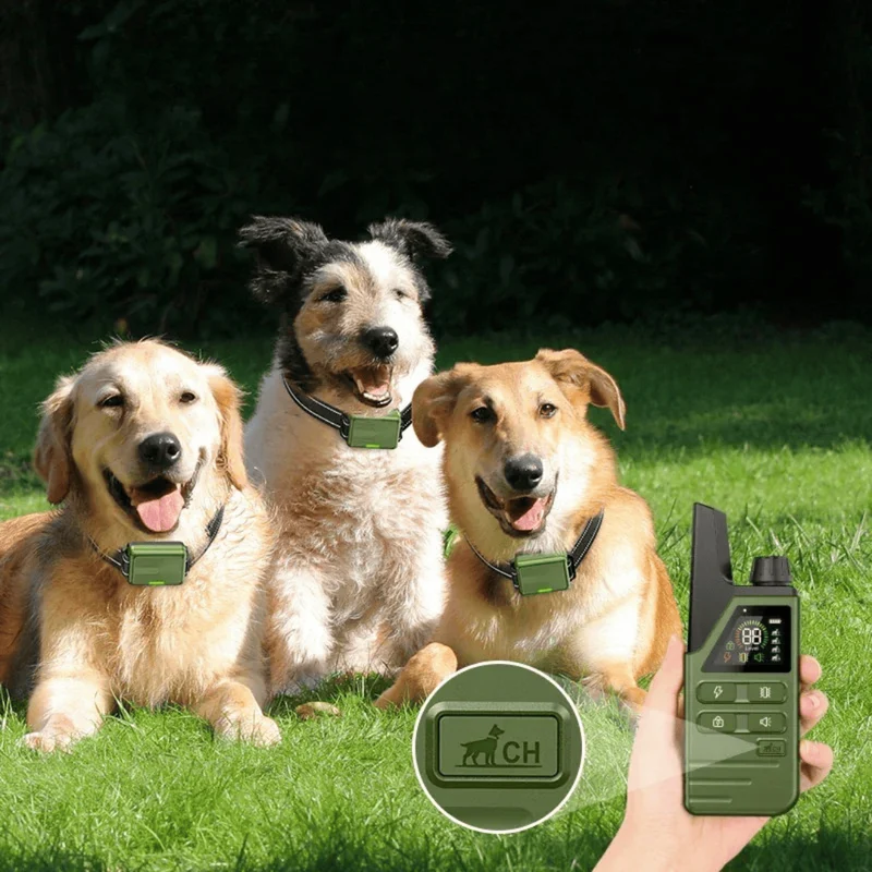 Collier de Dressage Chien Étanche avec Télécommande 300m