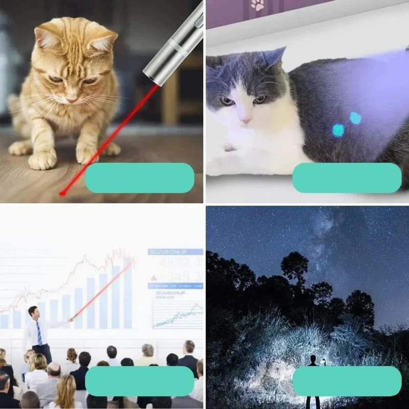Jouet Laser Rechargeable pour Chat avec 5 Motifs